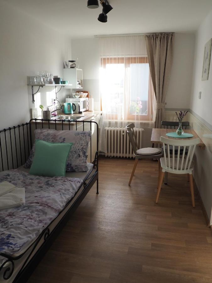 U Vaclava Apartment Knezeves  Exterior photo